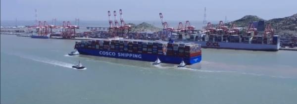 Food With Commercial Package FCL LCL International Freight From China To Dubai Iran Qatar Oman By Sea Freight