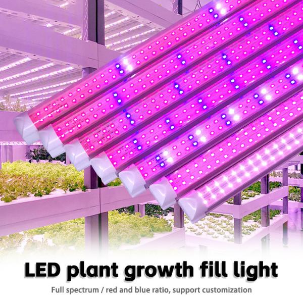 18W T8 LED Grow Tube Light 2ft 4ft Red Blue Full Spectrum LED Plant Light For Greenhouse