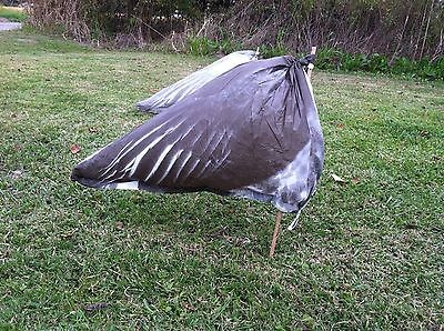 Blue Snow Goose Rag Decoys 1 Dozen (12) + 2 FREE CANADA/SPECK Rags With Dozen!