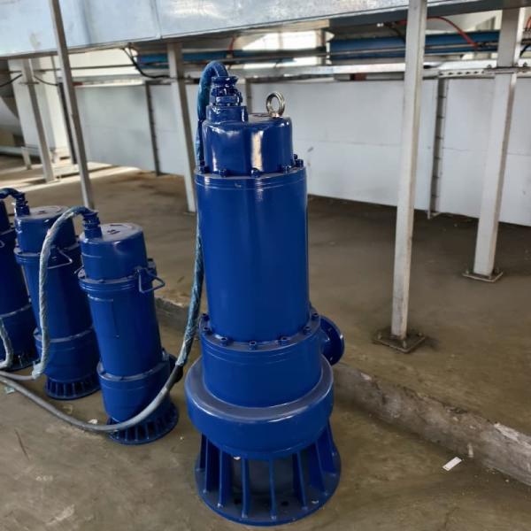 380V Sewage Agricultural Submersible Irrigation Pump 90kw 220m³/H Flow 70m WQ Series