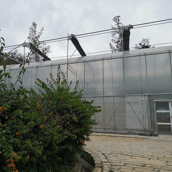 IGreen Tunnel Strawberry Greenhouses for Sale Price of M2 Agricultural Greenhouse