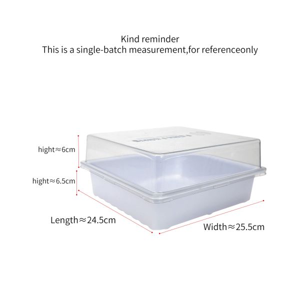 Customized White PET Square Green Micro Plant Hydroponic Cat Grass Seed Cultivation Tray With Transparent Lid