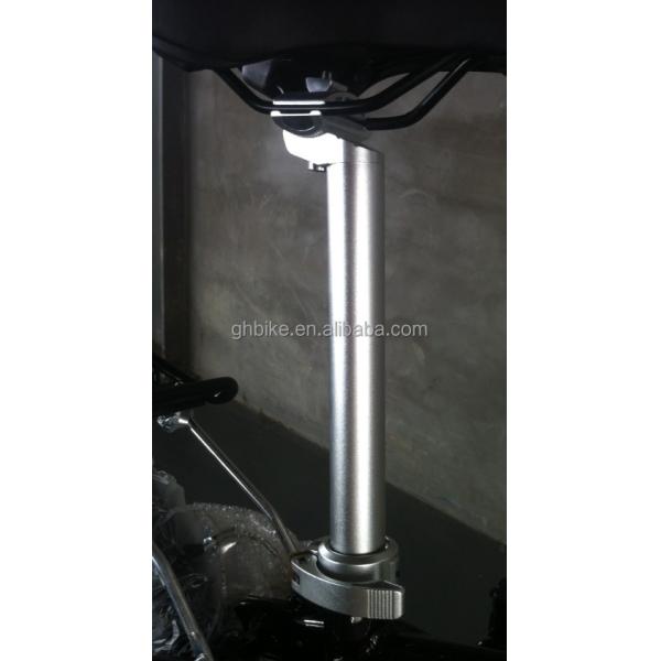 6 Speeds Aluminum Alloy Folding Bike for America Southeast Asia and Europe Market