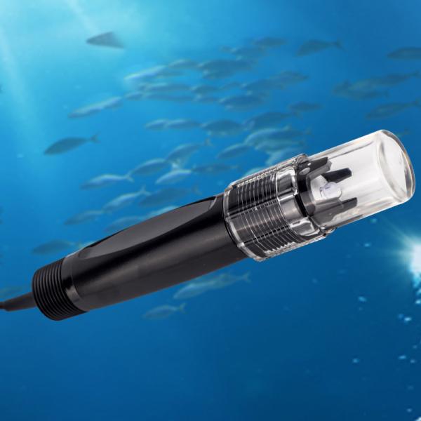 Advanced ORP Sensor for Accurate Redox Testing in Swimming Pools 1mV Resolution
