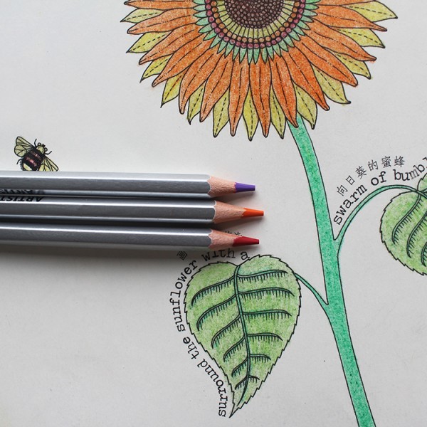 Luxury Low Price School Wooden Colour Pencil 72 Color Pencils Set