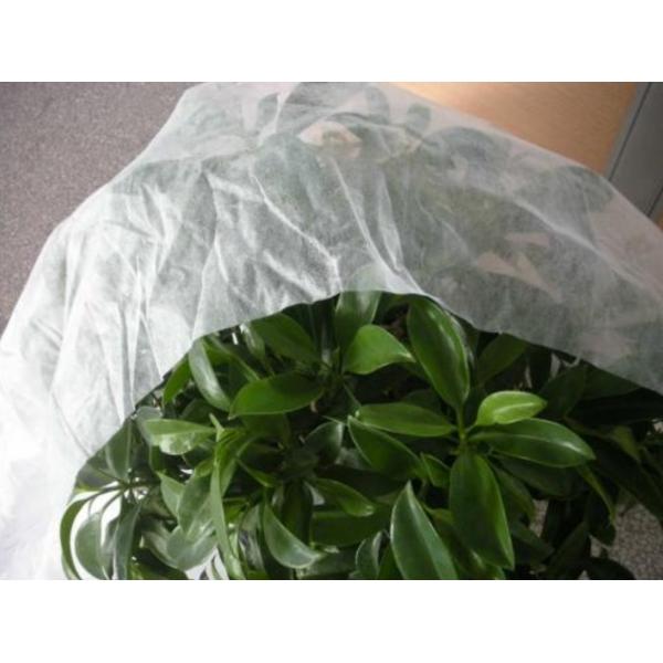 Handbag Technology Spunbond Non Woven Fabric Perfect for Agricultural Packaging Bags