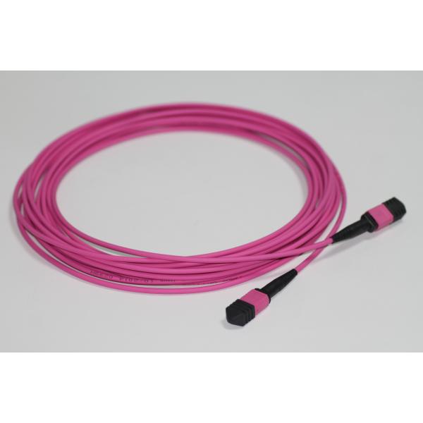 Multimode Duplex Fiber Optic Cable APC To APC  , LSZH Female Mpo Patch Cord
