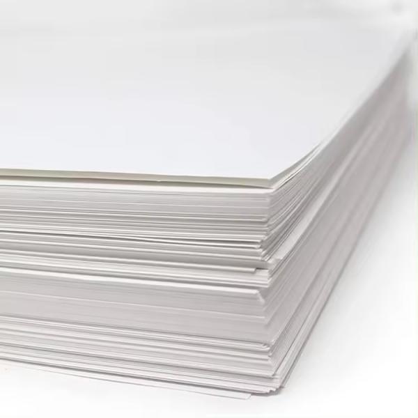 Custom White Cardboard Sheets 170-400 GSM for Packaging and Printing
