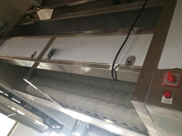 Apricot Peach Fresh Potato Ginger Washing And Peeling Machine Kitchen 3 KW