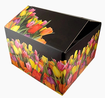 Environmental Friendly Food Packing Boxes Vegetable Carton Packaging Boxes