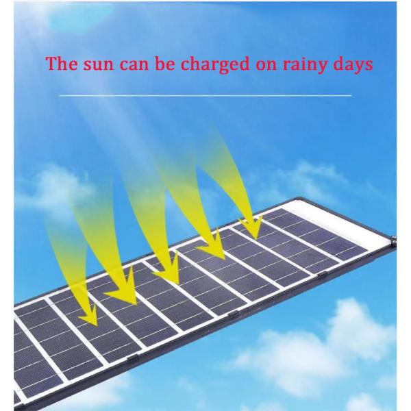 Lighting and Circuitry Design for 0.23kg Power Induction Street Light in Rural Areas