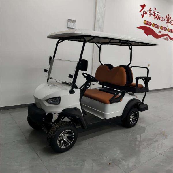 Customizable 2-Seater Latest Model Electric Golf Cart