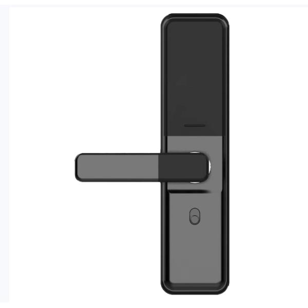 Popular ELA E-596 Tuya Keyless Entry Biometric Fingerprint Password Home Digital Smart Door Lock