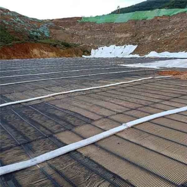 PP HDPE Uniaxial Plastic Geogrid UV Resistant Geogrid Mesh Retaining Wall