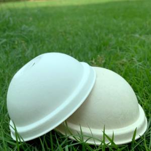 Biodegradable Cups and Lids