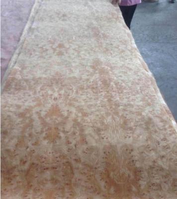 Golden Camphor Burl Paper Backed Veneer, Paper Backed Burl Veneer