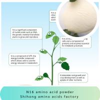 Chlorure d'engrais de poudre d'acide aminé de peptides de N16 85% 65072-01-7 libre pour le rendement et la croissance de durian d'usines