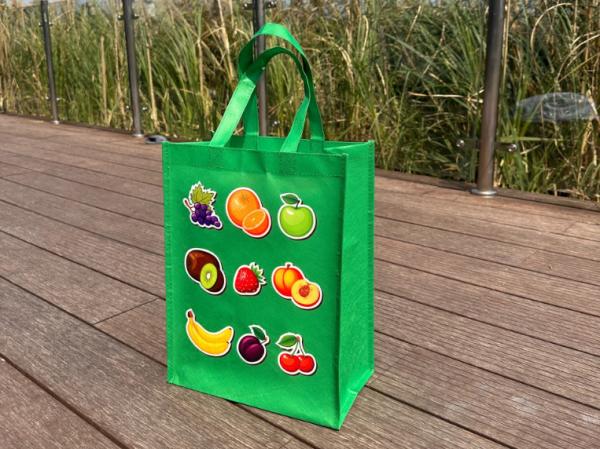 Hot Sale Personalized Logo Size Printed Eco Friendly Recyclable Reusable Grocery Portable REPT Bag Wholesale Cheap Reusable Eco pp Shopping Bag Non-woven Bag Oem Custom Gift Promotional Tote