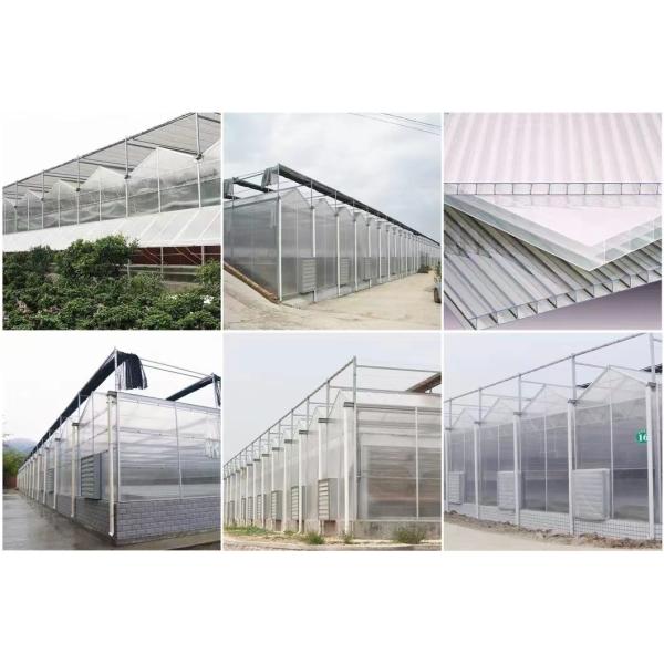 JX-A006 Большие теплицы из поликарбоната Venlo PC для коммерческих и сельскохозяйственных целей