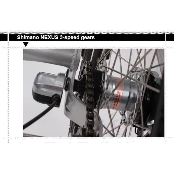 CE Approved 36V 250W White Electric Tricycles Lithium Battery 3 Wheel Electric Bike