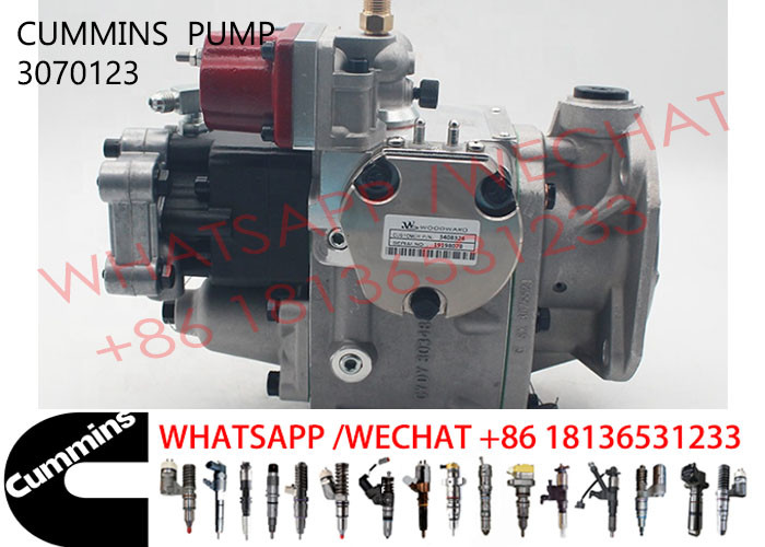 3070123 впрыскивающий насос 3075537 коллектора системы впрыска топлива Cummins Nta855 3059657 4076760