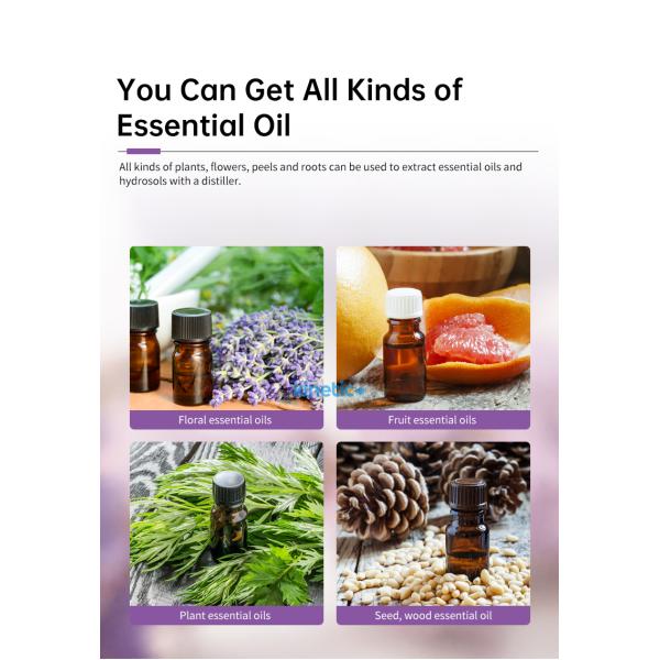 Neroli/Juniper Berry/Jojoba Essential Oil Distillation and Extraction Machinery with 2-4kg per Batch Capacity
