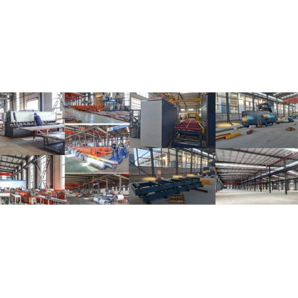 Diseño prefabricado Capa automática de huevo Granja avícola Batería Casita de pollo Muestras de gallinas Estructura de acero Almacén Equipo agrícola Granero de vacas Granero