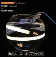 Lumières au néon de piscine 24V flexibles étanches haute luminosité et efficacité lumineuse