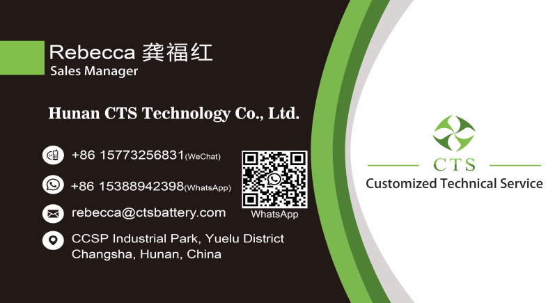 CTS 345.6V 230Ah LFP Battery Pack Lithium Iron Phosphate for 4-wheel Truck EV Conversion Customized