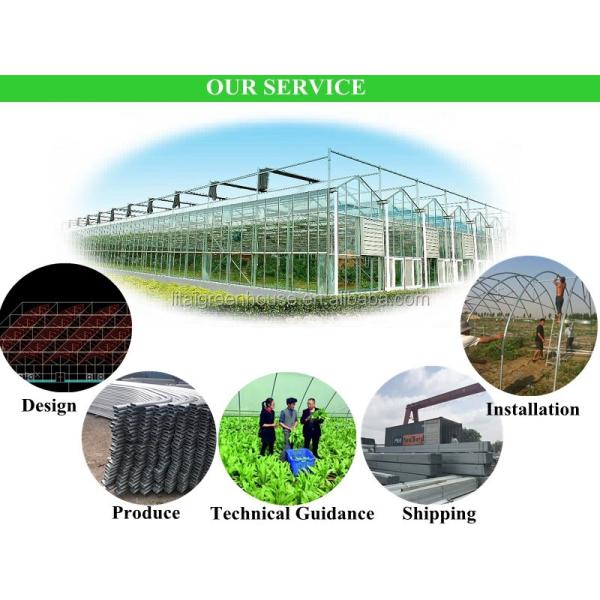 Большая прозрачная пластиковая пленка с многопролетным тепличным палатком для выращивания прозрачная и прочная