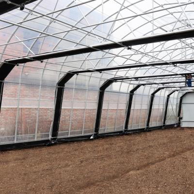 Estufas para a agricultura 10m*100m Estufas para a privação de luz Estufas hidropónicas Para o cultivo de ervas hidropónicas