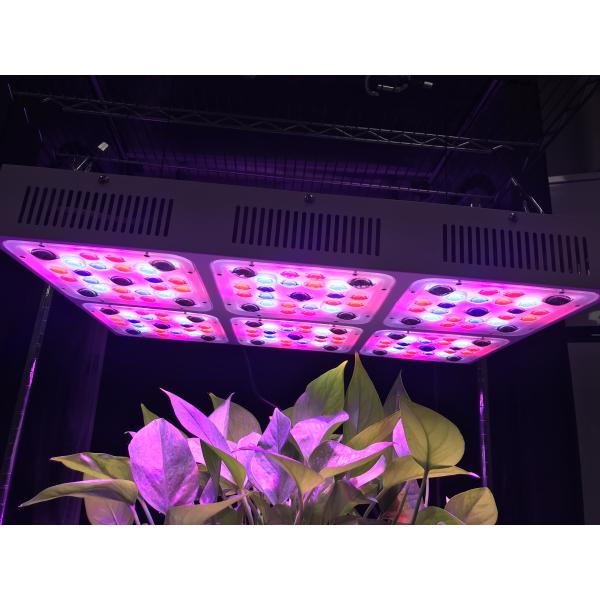 панель СИД инфракрасн полного спектра 570W УЛЬТРАФИОЛЕТОВАЯ растет светлой