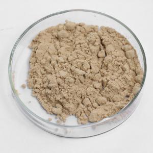 Customized 5-Phosphodiesterase Yeast Extract For Seasoning Processing