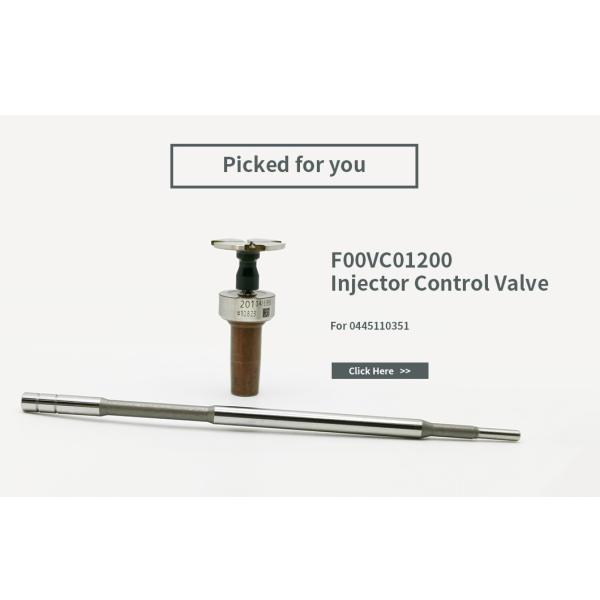 0445110351/398 Bosch Injector Repair Kit