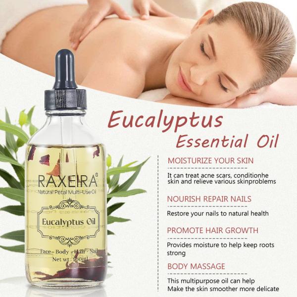 Óleo orgânico da massagem dos cuidados com a pele do eucalipto para a fêmea