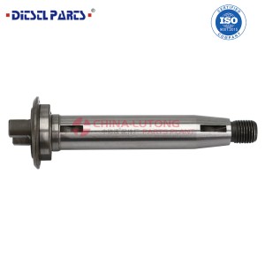 Common Rail