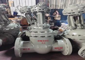 150lb-1500lb Steel Gate Valve with Bolted Bonnet