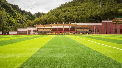 30mm Dark Green Turf Grass Professional Outdoor Soccer Artificial Sports Flooring