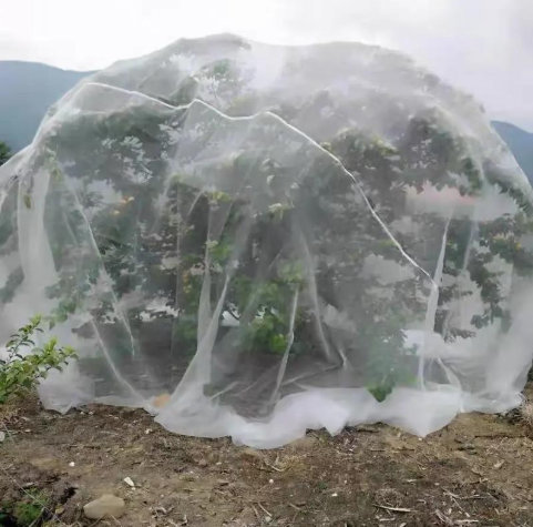 Vegetables And Fruit Tree Netting Bags Cover For Recycle Ultra fine