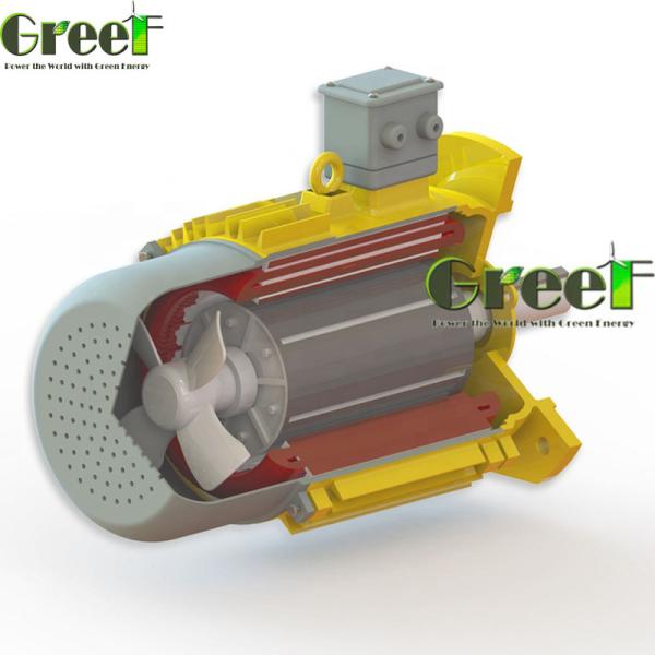 Copper Stator Material Permanent Magnet Generator With SKF Bearing And IP54 Level For Low Maintenance Applications