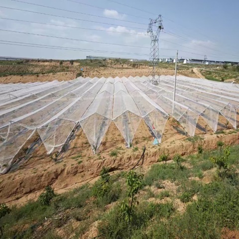 UV Resistant Hail Net 0.8mm Thickness Designed to Protect Crops