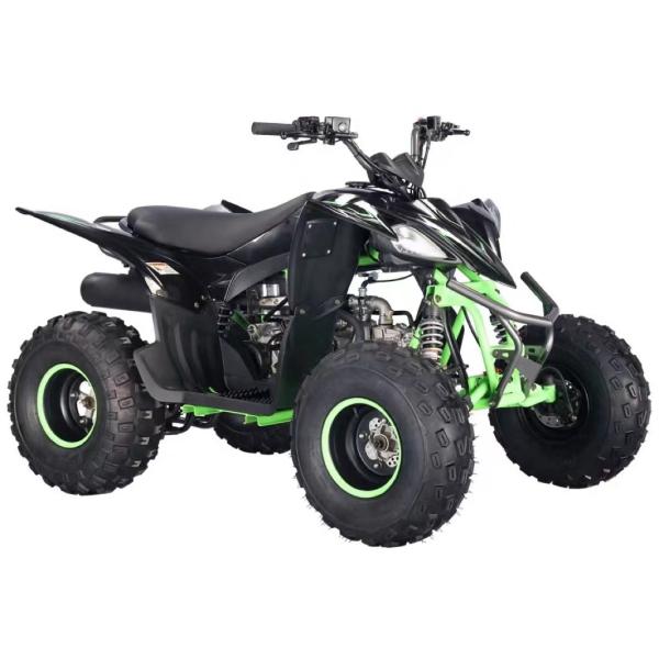 2WD Driving Type 125cc Four Wheeler ATV Bike with Chain Drive Transmission System