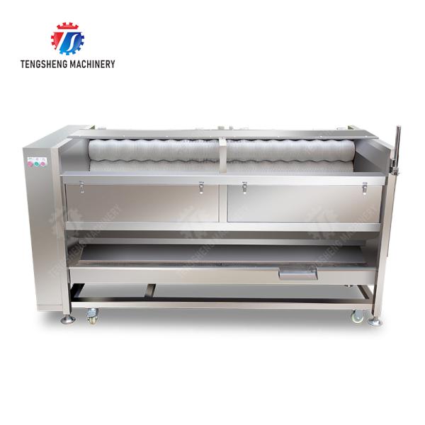 Large scale brush Washing cleaning and peeling machine Ginger Potato Carrot Taro Sweet potato Yam Saiko persimmon papaya horseshoe macadamia nut