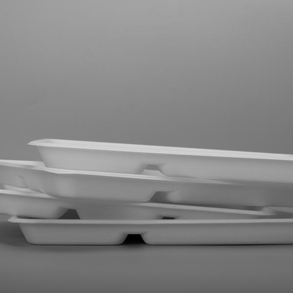 Bagasse Biodegradable Food Trays