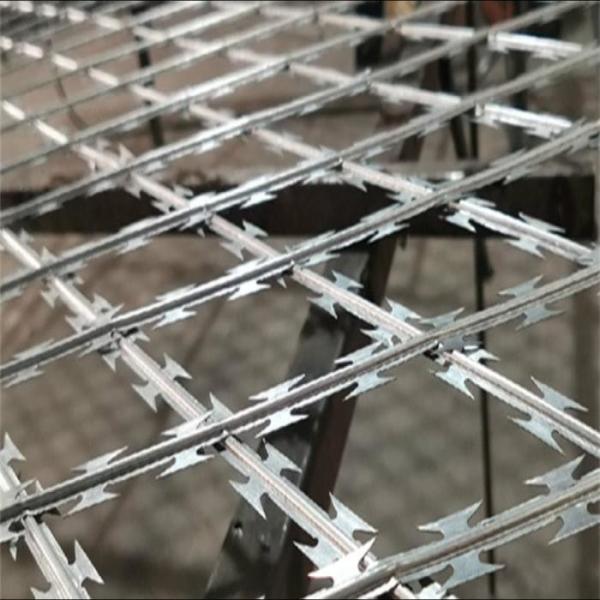 Hot Dip Galvanized BTO 10-BTO 60 Welded Barbed Razor Wire Fence for Protective Construction