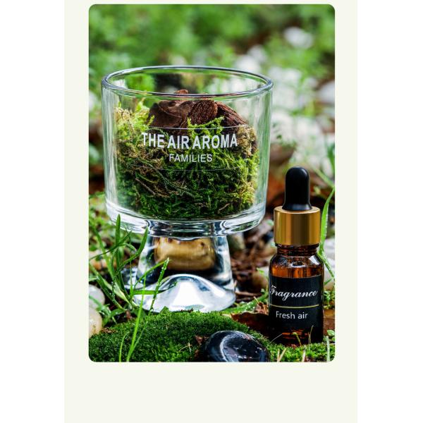 100ml Nature-Inspired Moss Diffuser Creative Scented Oil Diffuser for Keeping Air Fresh