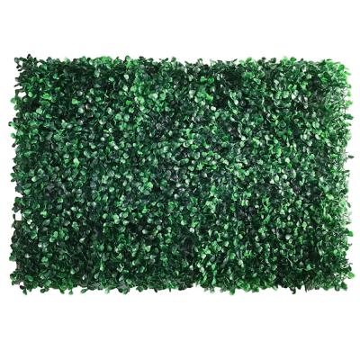 Fogo artificial vertical verde da parede da planta - retardador nenhum costume do cheiro