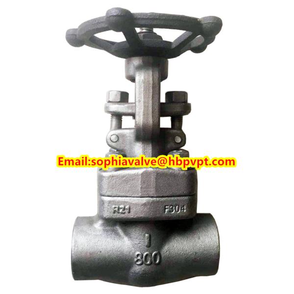 ANSI forged stainless steel globe valve