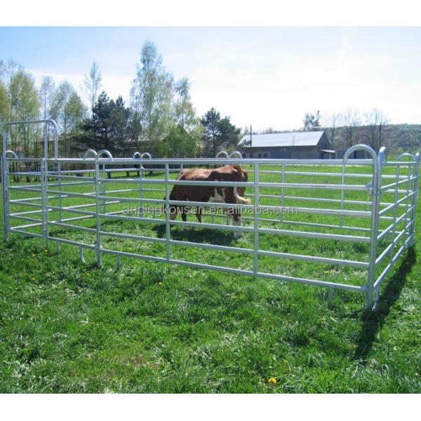 Iron Metal Type Farm Field Fence for Sheep and Goat Animals at 1.2 m x 100 m Size