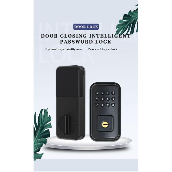Secure Your Door with Battery-Powered Digital Smart Lock and TTlock Tuya WiFi App